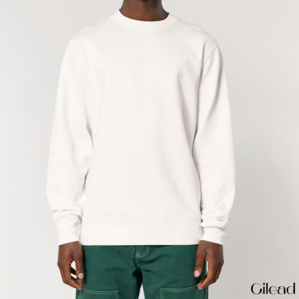 christelijke-unisex-sweater-verschijn