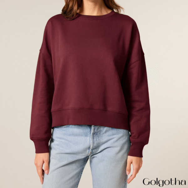 christelijke-dames-sweater-verschijn